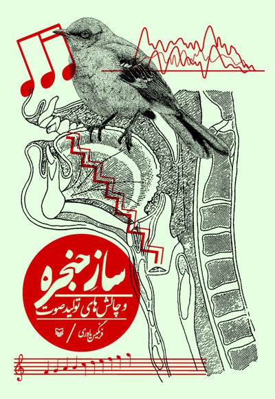 ساز حنجره